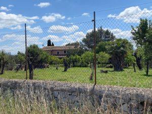 Rustic house with a 3000m2 plot.